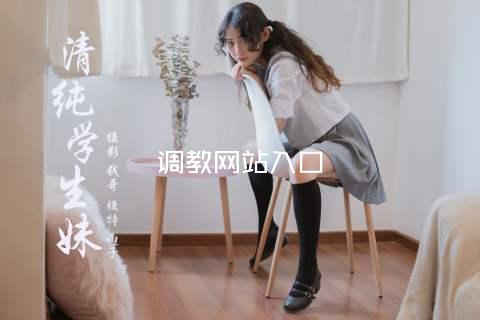调教网站入口